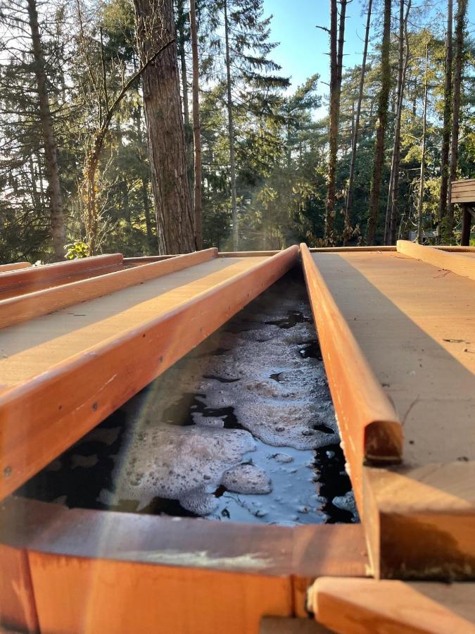 Bain De Foret - Lodges Cosy & Spa Neufchatel-Hardelot Exterior photo